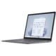 Platinum Metal 15inch 16GB LPDDR5X.webp