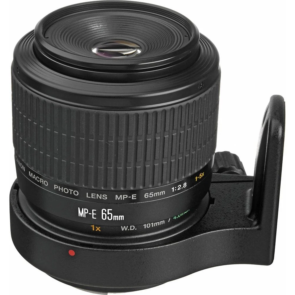 MP E 65mm f2.8.webp